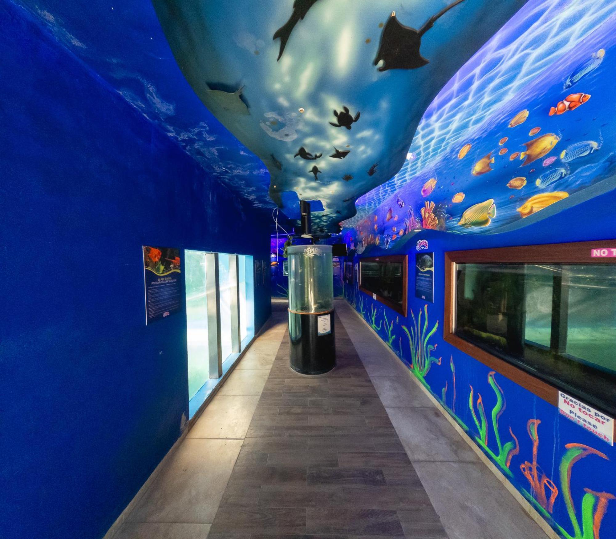 Splash Inn Nuevo Vallarta & Parque Acuatico 외부 사진